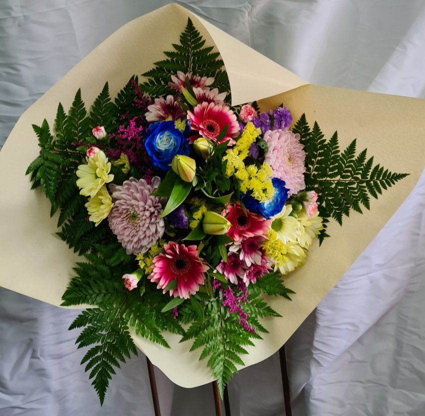 IMG 20241120 WA0041