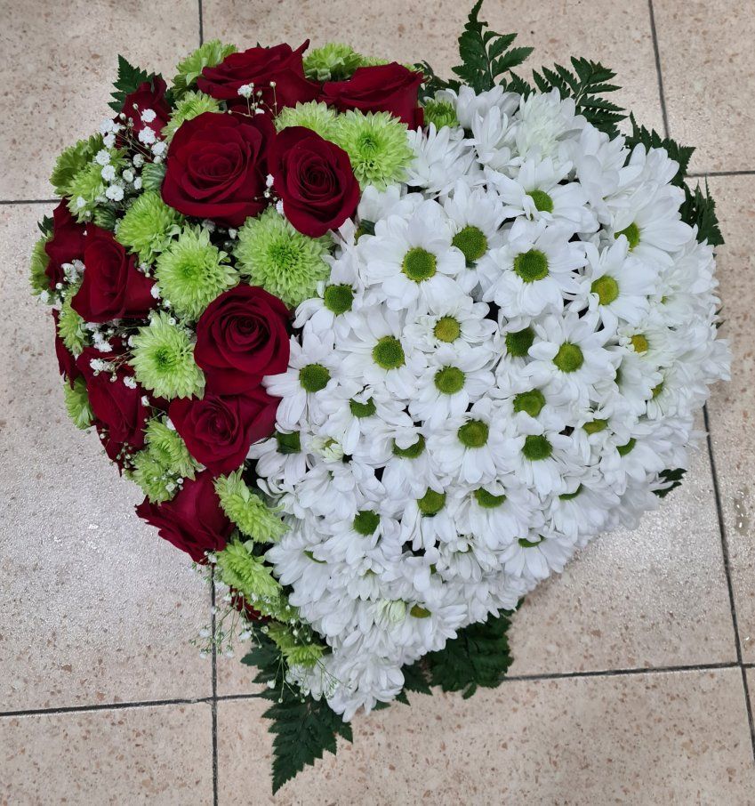 IMG 20241120 WA0038