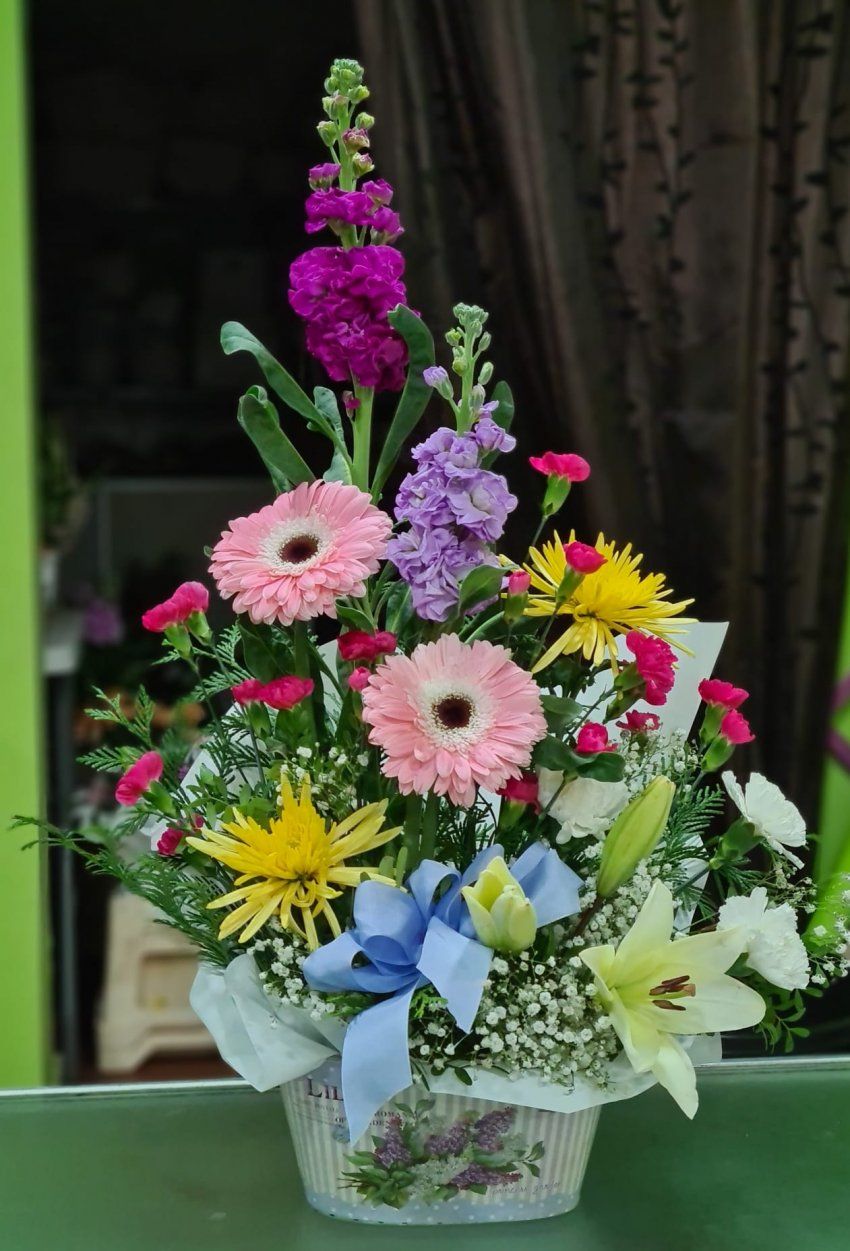 IMG 20241120 WA0030
