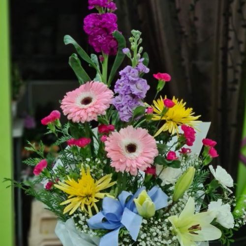 IMG 20241120 WA0030