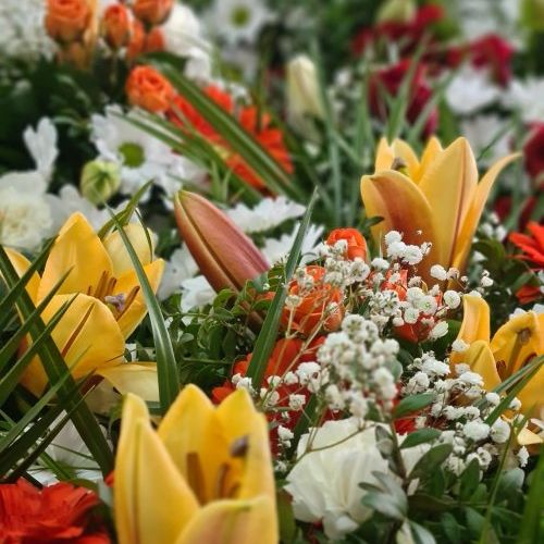 IMG 20241120 WA0006